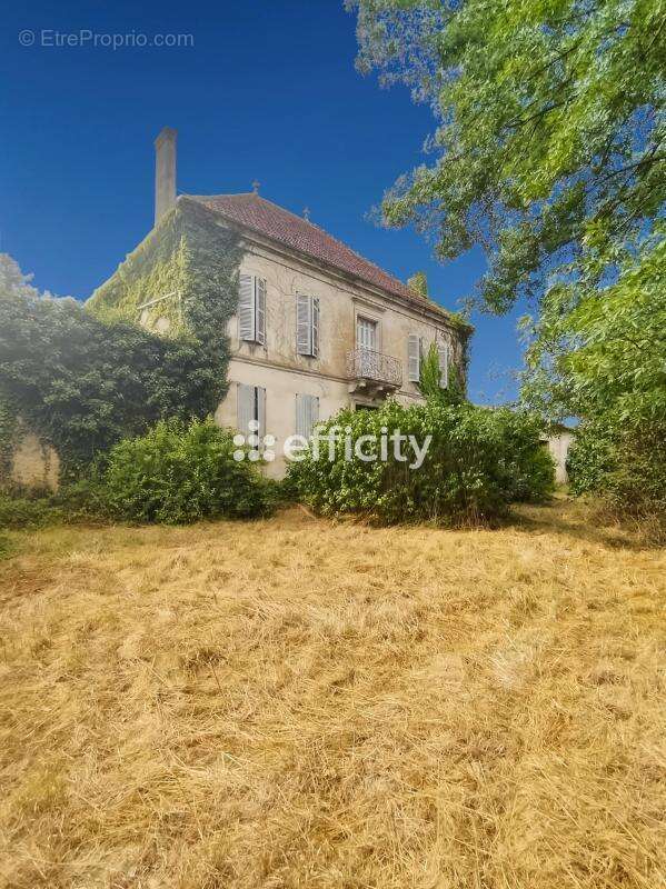 Maison 295 m² à Thors  - photo 11