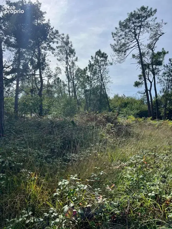À vendre – argol – finistère – presqu’île de crozon-exceptionnel terrain de loisirs de 40 000 m² - photo 17