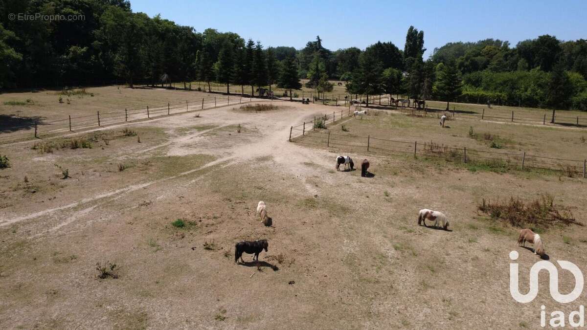 Photo 9 - Maison à VILLEMER