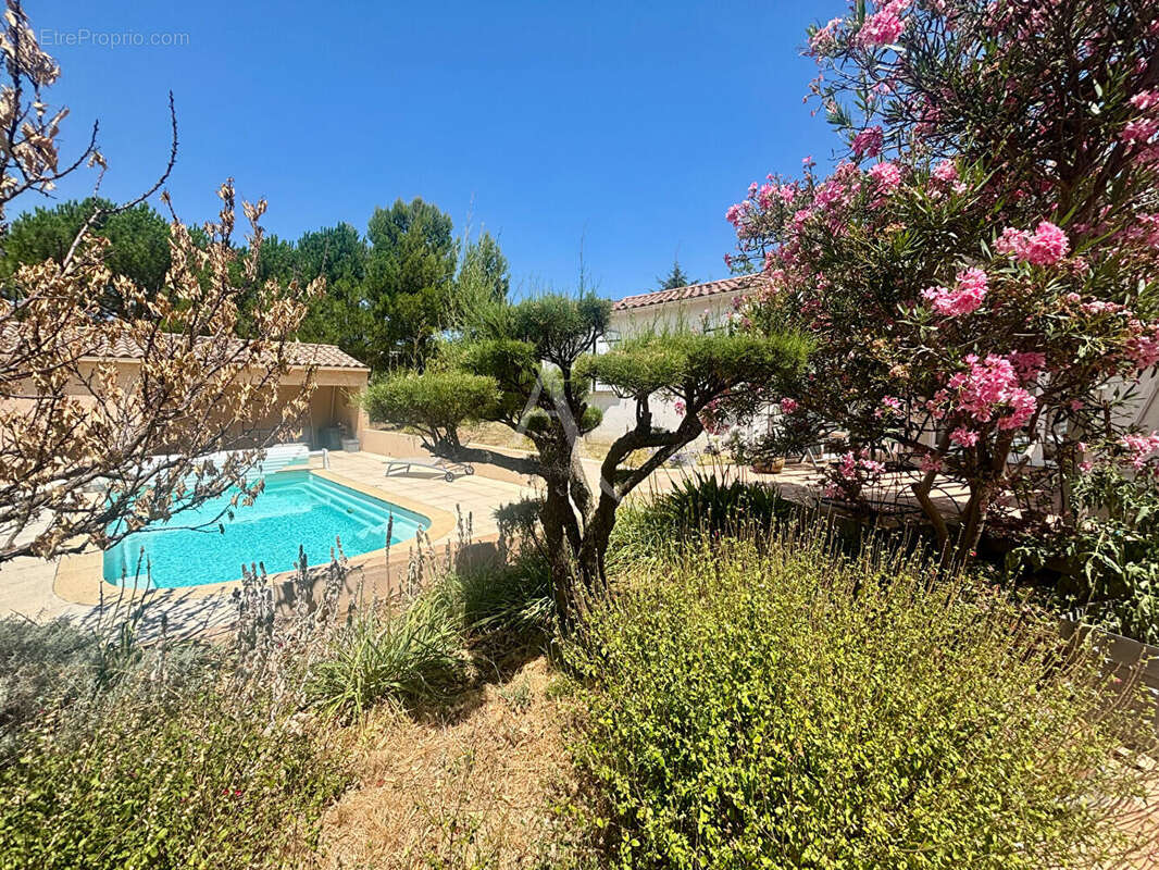 PALAJA ? Maison de plain-pied avec piscine, jardin et vue dégagée sur le clocher - photo 5