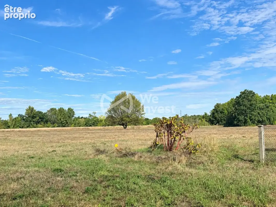 Terrain 8 000 m² à vendre à Montauban (82000) - photo 2