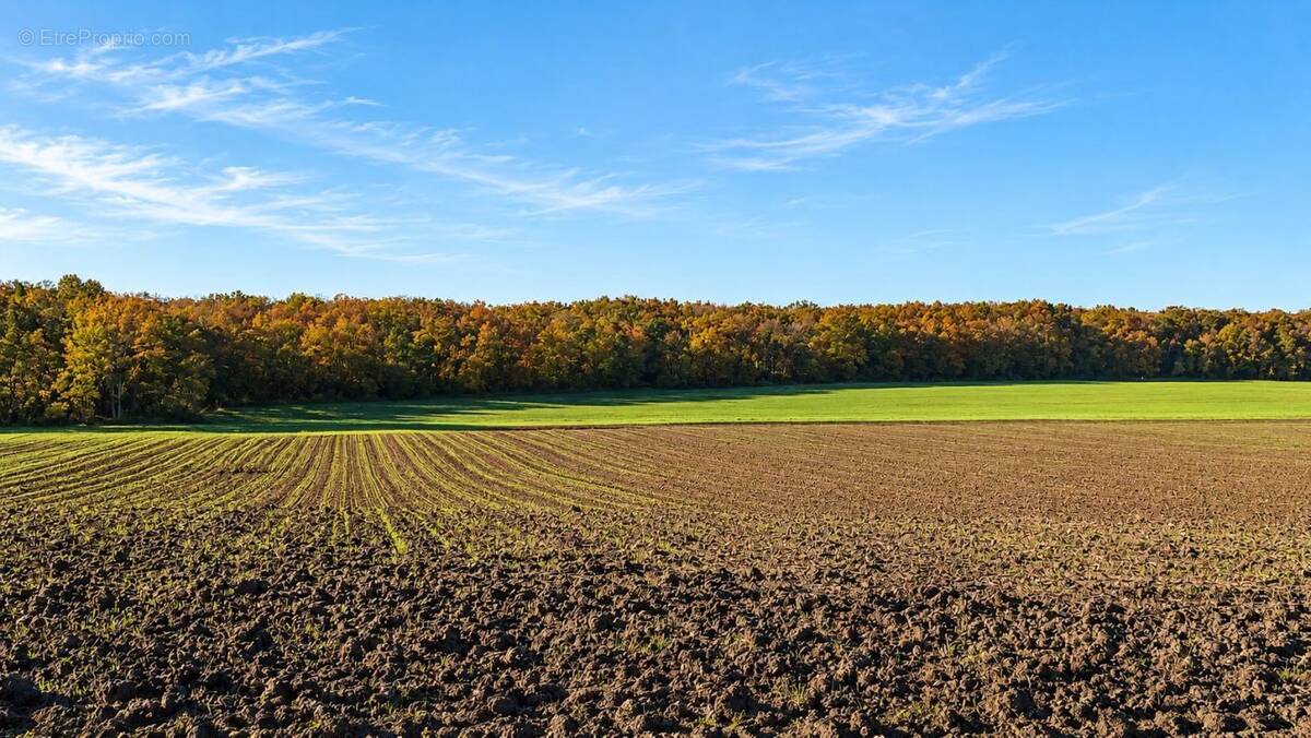 Terrain à JEU-LES-BOIS