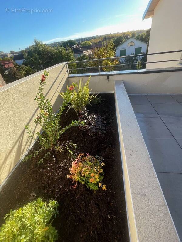 Photo 1 - Appartement à TOULOUSE