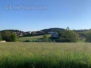 Terrain à LA CHAPELLE-D'AUREC