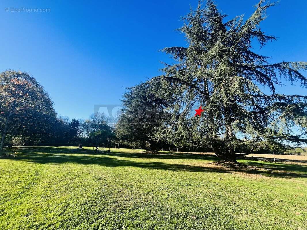 Maison à SAINT-PAUL-CAP-DE-JOUX