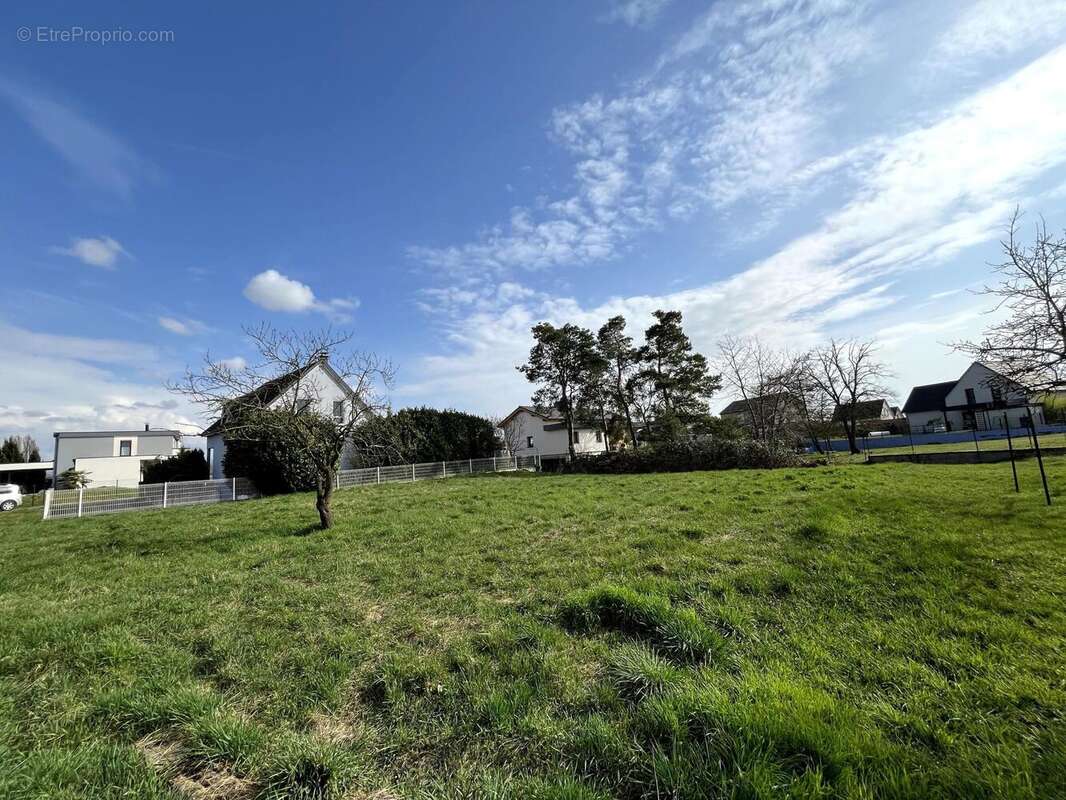 Photo 5 - Terrain à BLODELSHEIM