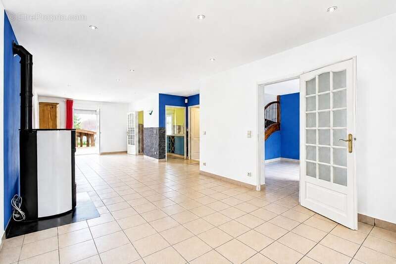 BIEN RARE A DOLE: maison bourgeoise aux volumes exceptionnels - photo 5