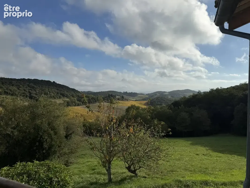 Domaine de charme avec trois gites proche de Limoux - photo 11
