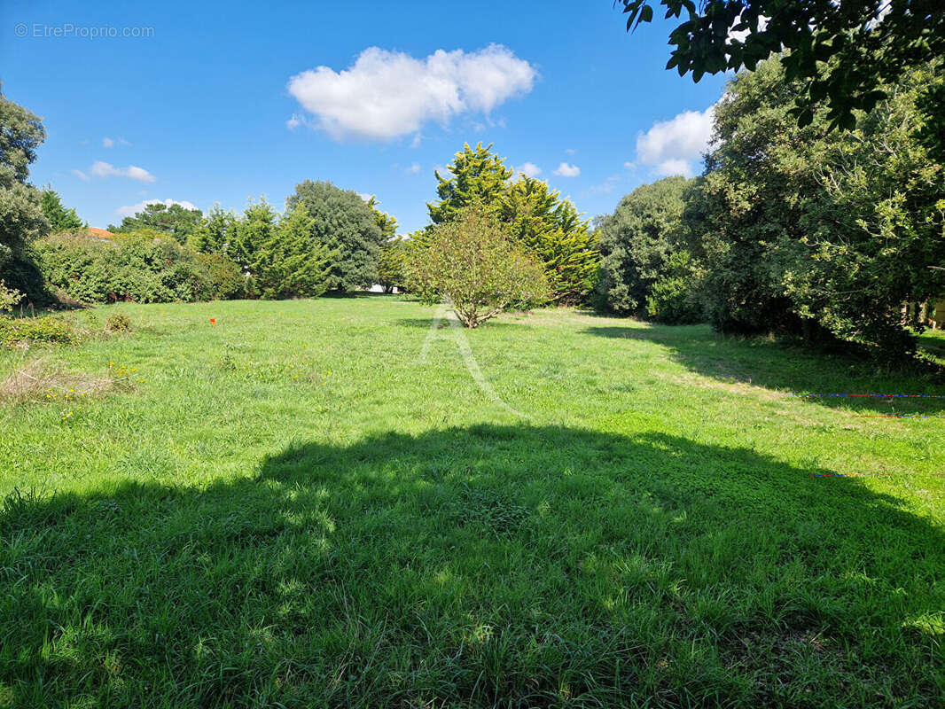 Terrain à BREM-SUR-MER