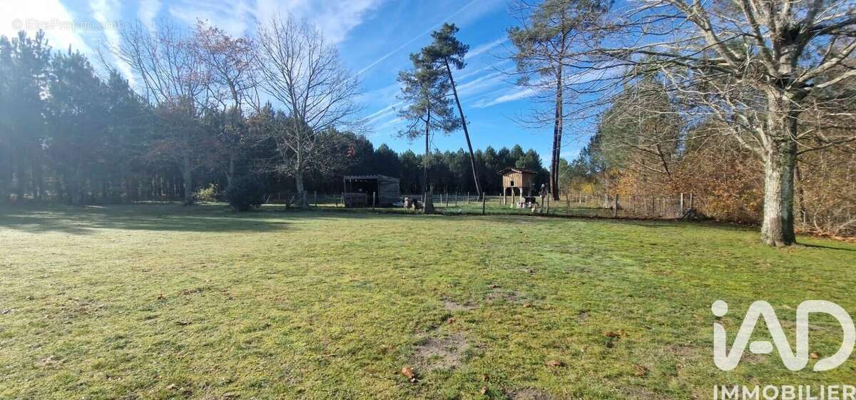 Photo 7 - Maison à PISSOS