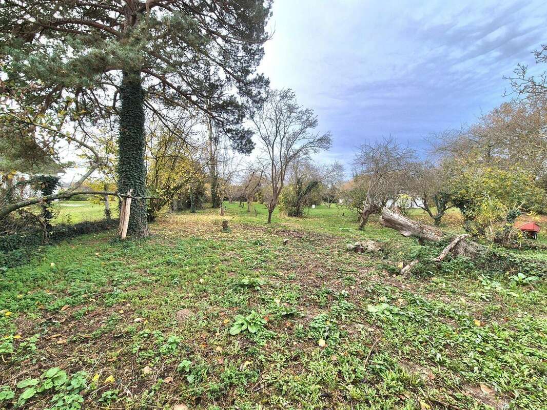 Photo 2 - Terrain à LOMMOYE