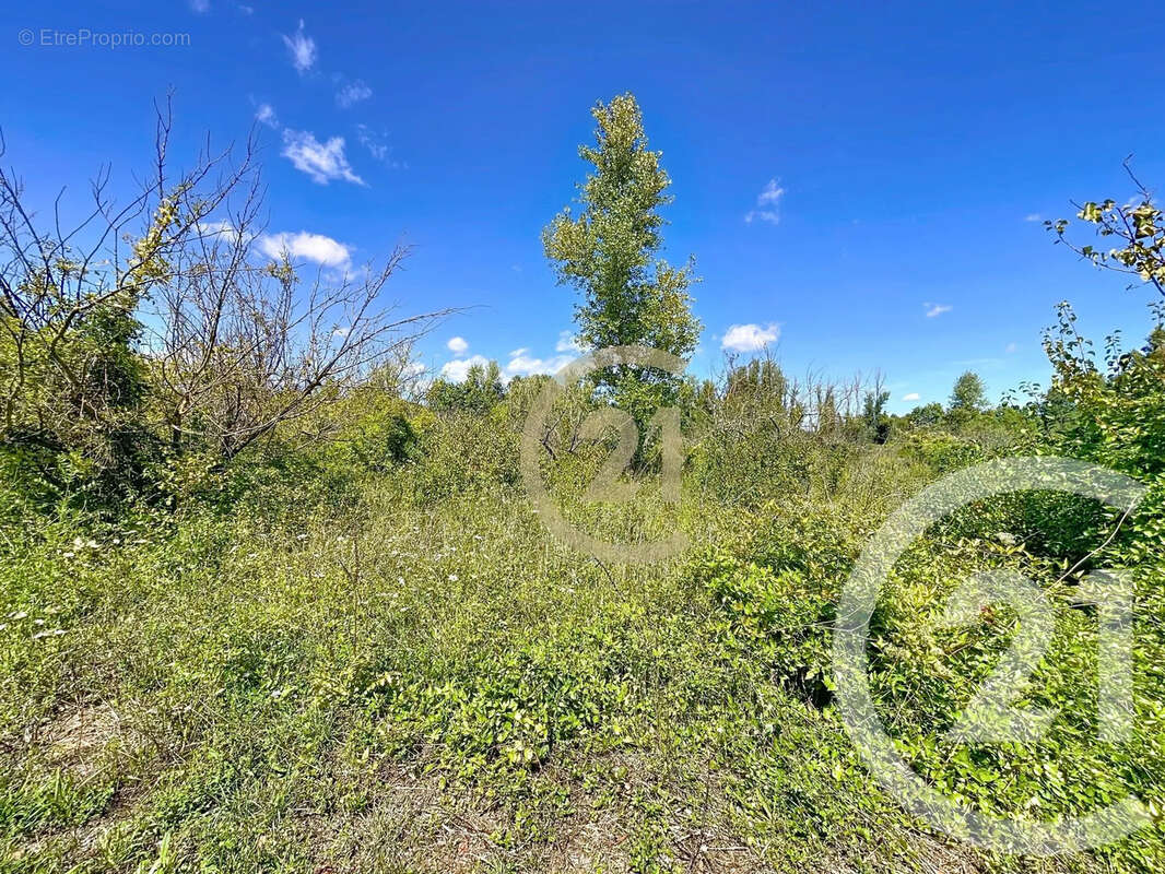 Maison à CASTILLON-DU-GARD