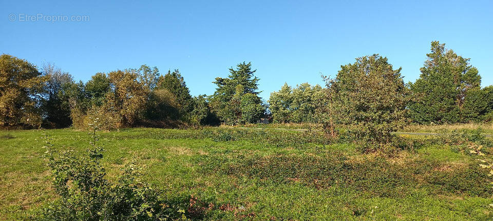 Terrain à SAINT-REMY