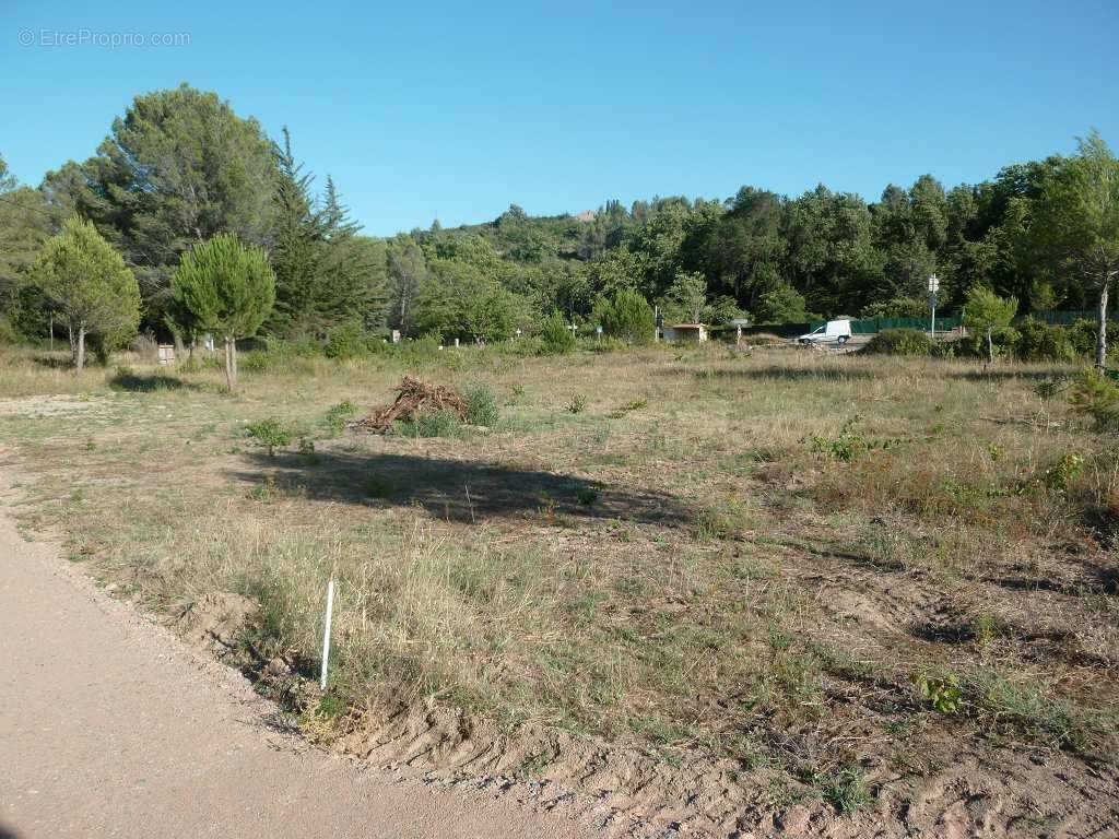 Terrain à CLERMONT-L&#039;HERAULT