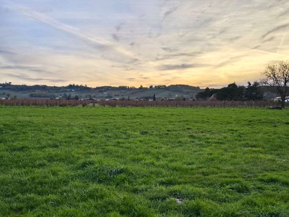 Terrain à SAINT-LAURENT-DES-VIGNES