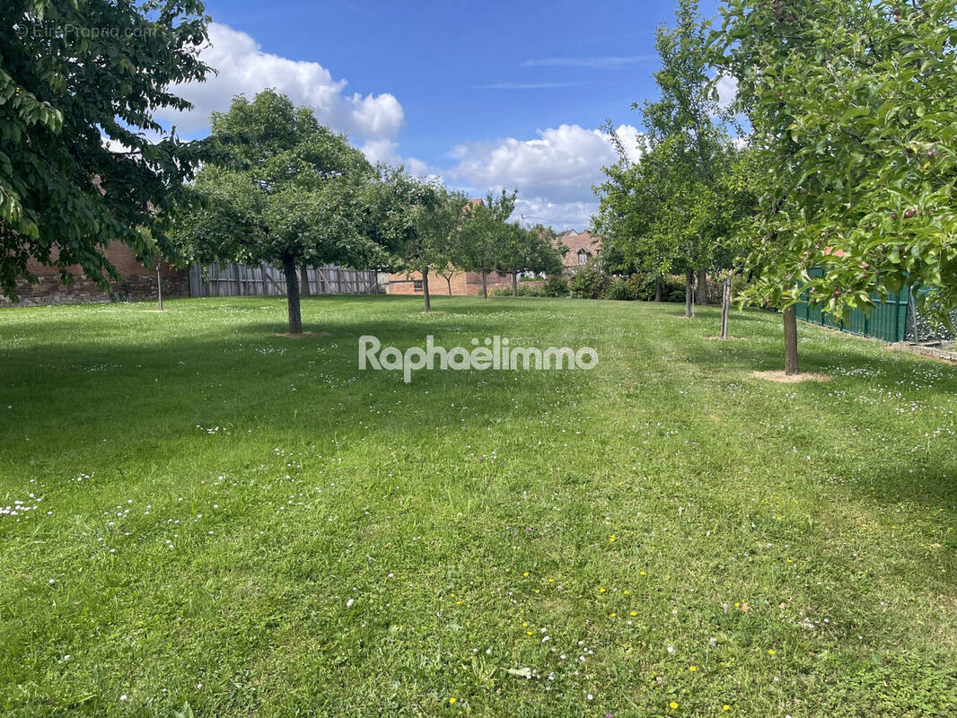 Terrain à SAESSOLSHEIM