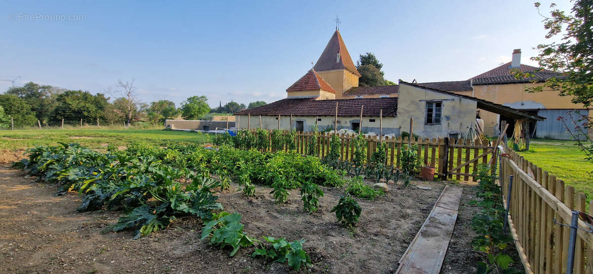 Maison à CONDOM