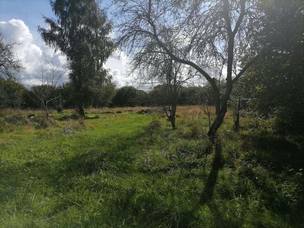 Terrain à SAINT-LEONARD-DE-NOBLAT