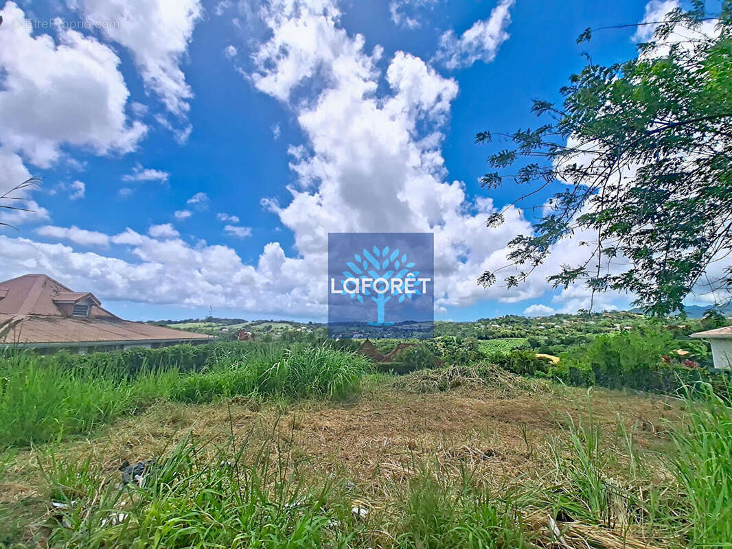 Terrain à LE LAMENTIN