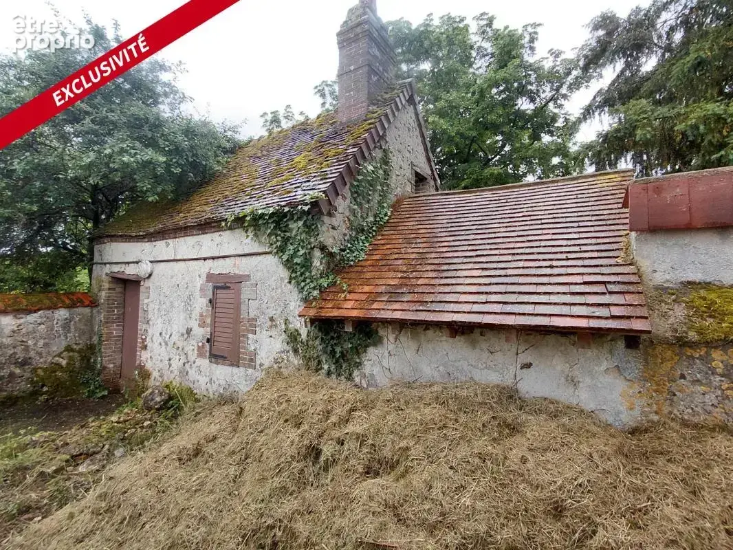 Maison rénovée 4 chambres, dépendances, jardin clos - photo 12