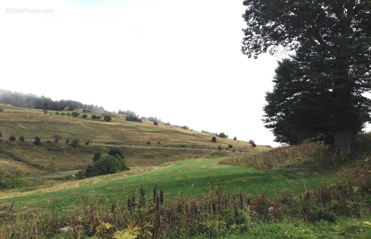 Terrain à PUYVALADOR