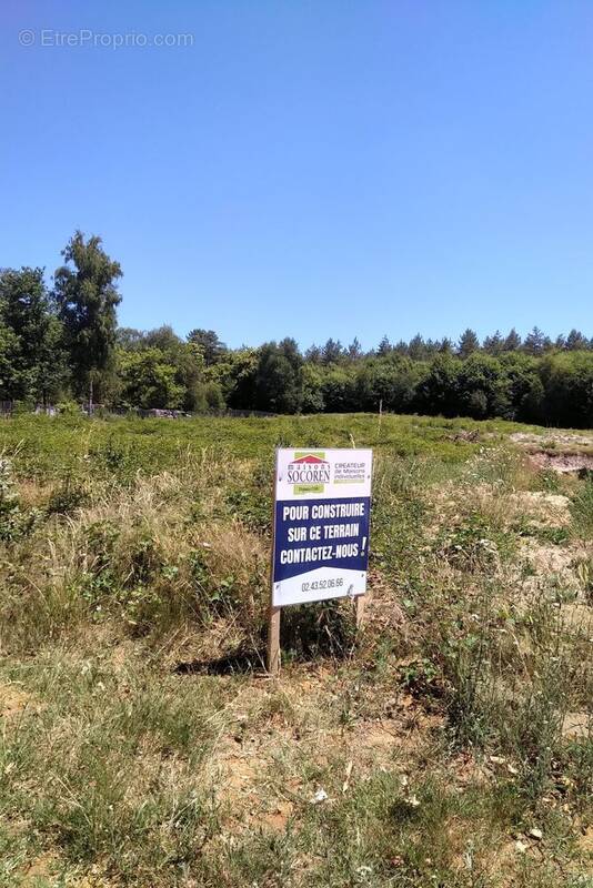 Terrain à VILLAINES-LA-GONAIS