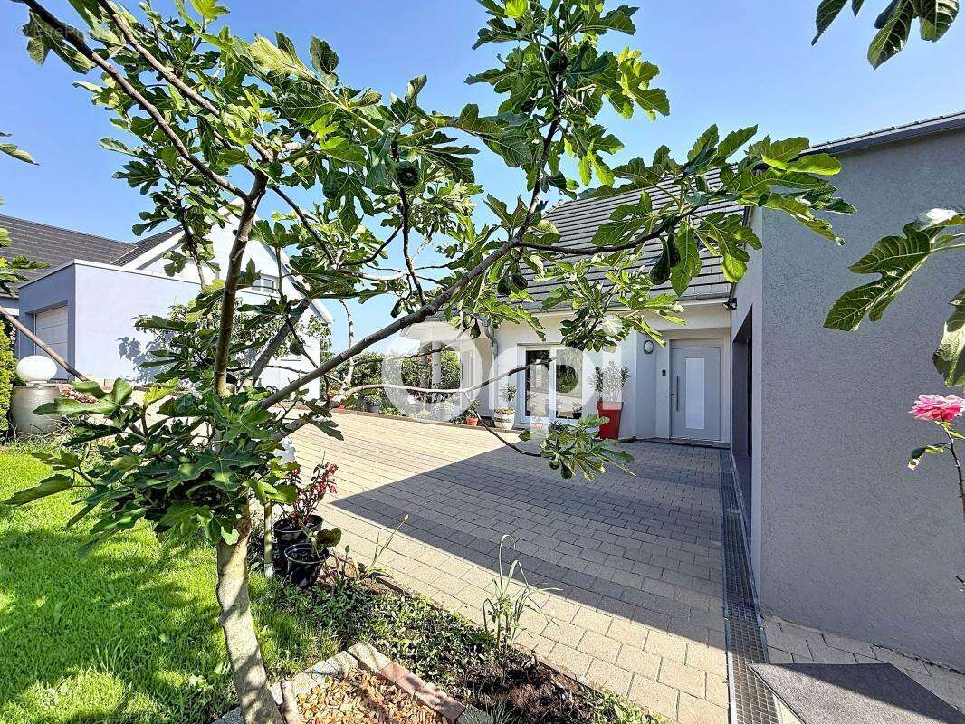 À vendre - Maison Familiale de 253m² avec appartement indépendant - 618 000€ FAI - photo 37