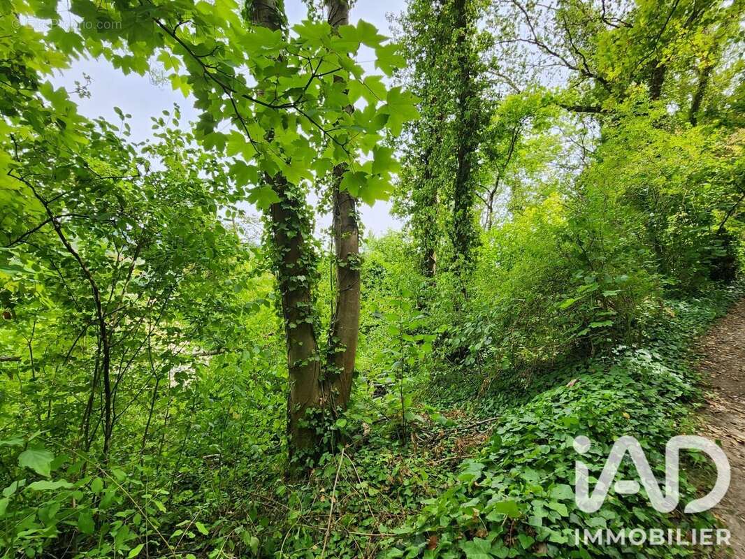 Terrain 2550 m² à Maule  - photo 4