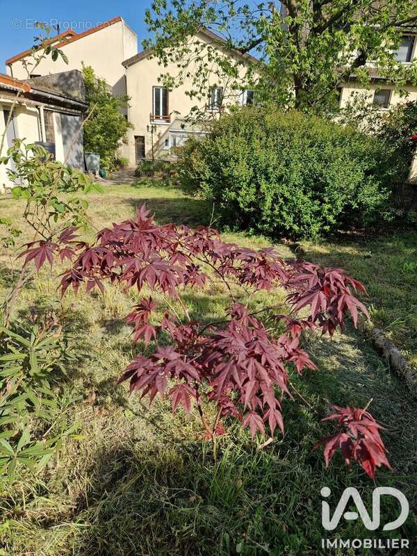 Photo 3 - Maison à MONTREUIL