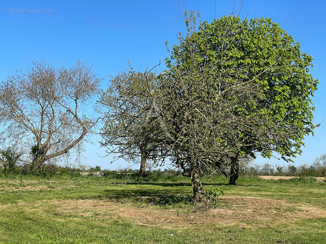 Terrain à LA JONCHERE