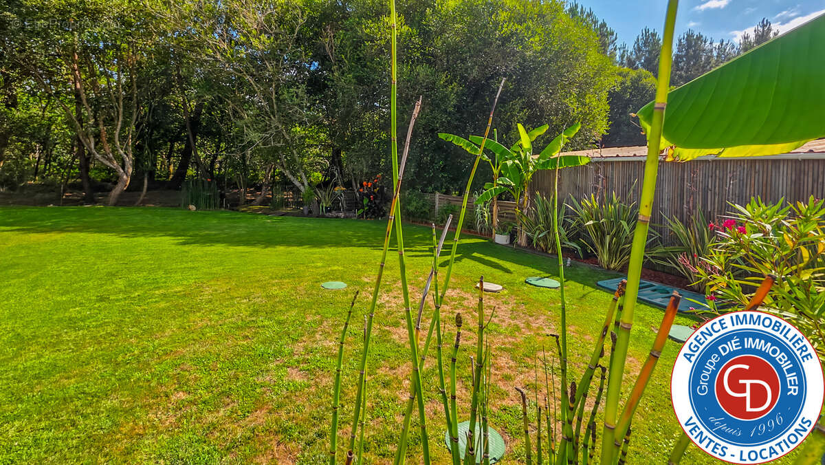 Villa rénovée 2 chambres (possiblité 3) sur terrain de 440 m2 - photo 23