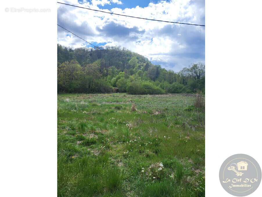 Terrain à ENTREVAUX