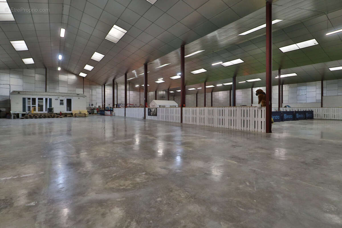 Hangar villacerf - photo 6