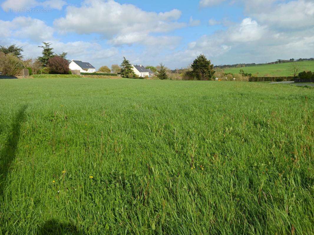 Terrains constructibles RESTE 2 LOTS Pouillé les Coteaux - photo 2