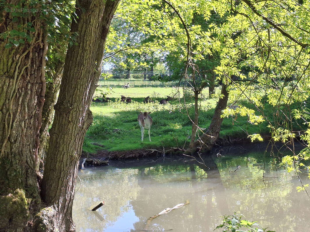 Terrain à CHATENOY-EN-BRESSE