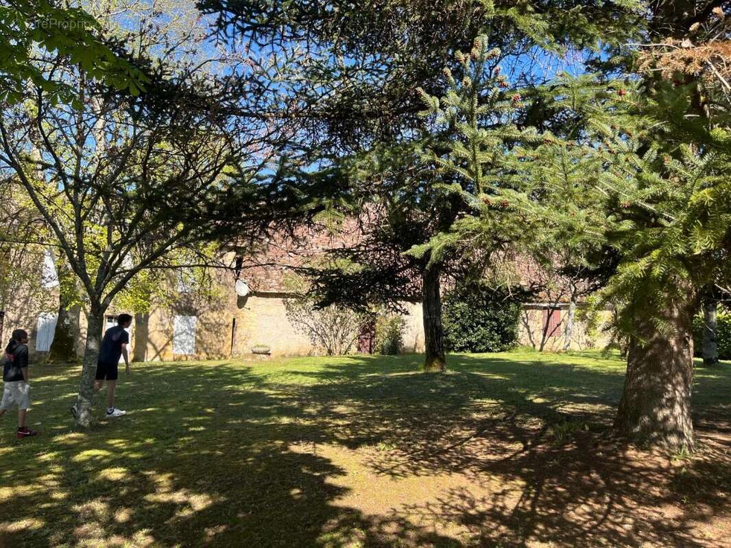 IMG_8383 2.jpeg - Maison à SAINT-AVIT-SENIEUR