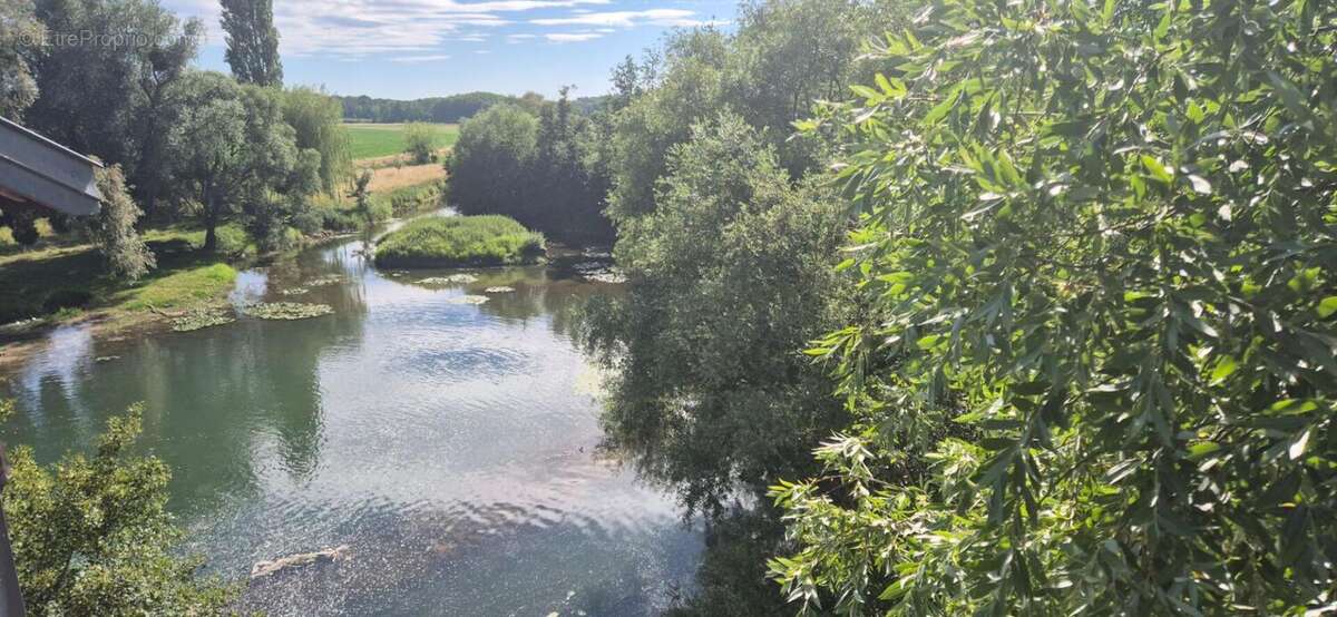 Superbe Ensemble Immobilier de 240 m² Style Champenois à Réhabiliter avec ses Greniers, Dépendances et 1 Logement Résidentiel de - photo 17