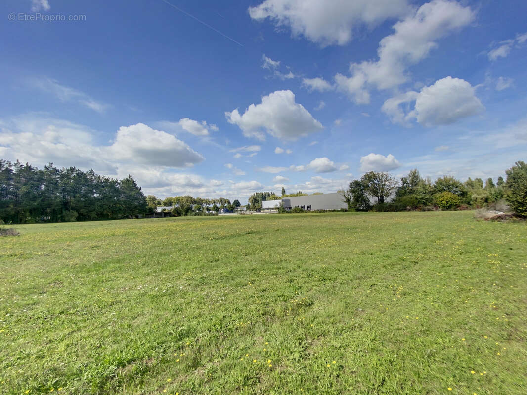 Terrain à VILLEVEQUE