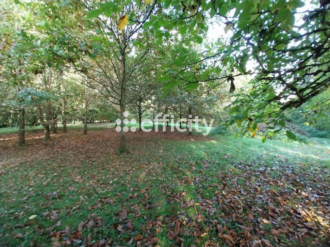 Maison à BAILLEAU-ARMENONVILLE