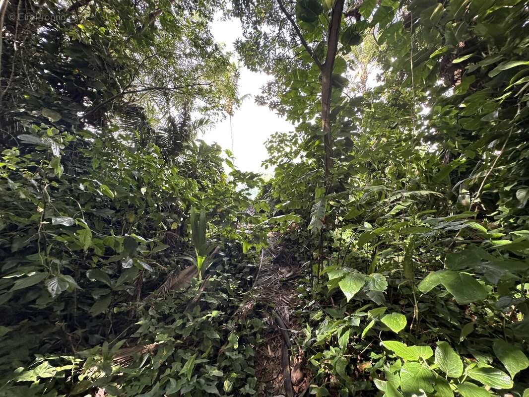 Maison à SAINT-CLAUDE