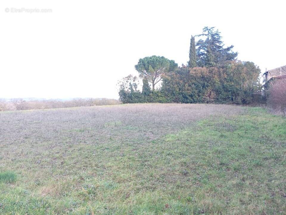 Terrain à MONTBRUN-LAURAGAIS