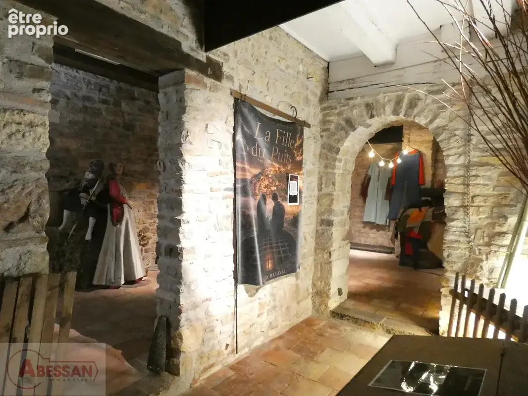 Maison 313 m² à Cordes-Sur-Ciel  - photo 7