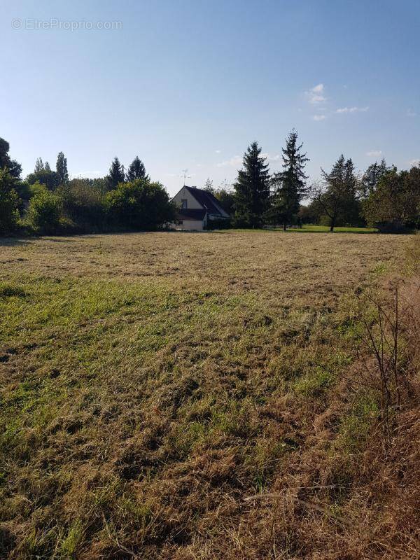 Terrain à LA COUR-MARIGNY
