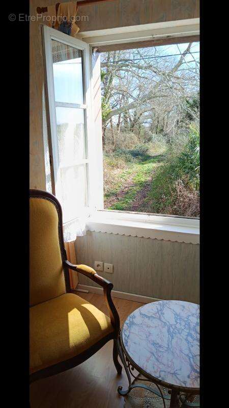 Deux maisons et pleins d'opportunités ! + - photo 36