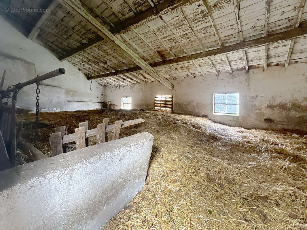 DAUZAT-SUR-VODABLE   Un ensemble de caractère à réinventer sur une parcelle de 1.680m2 - photo 7