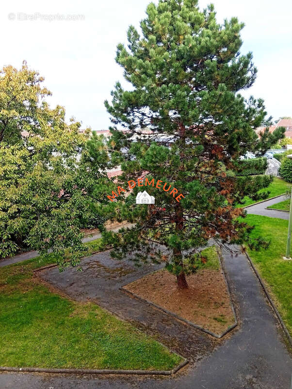 Appartement à TOURCOING