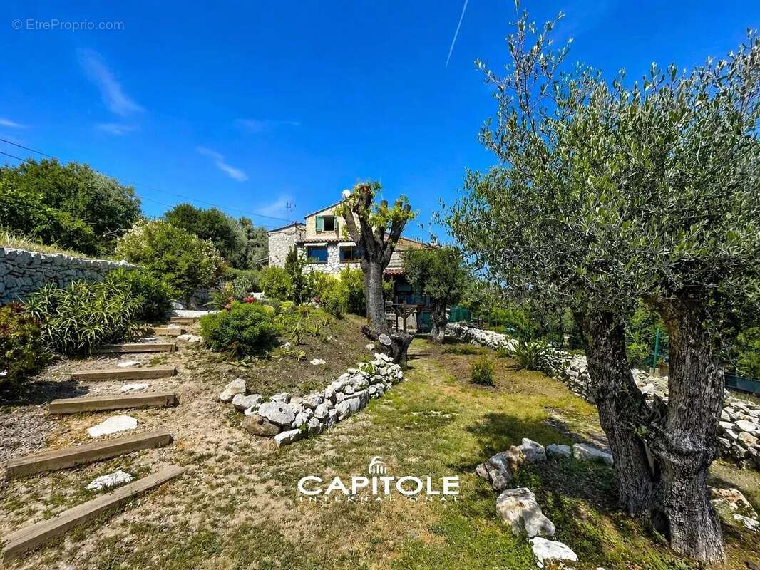 Maison à ROQUEFORT-LES-PINS