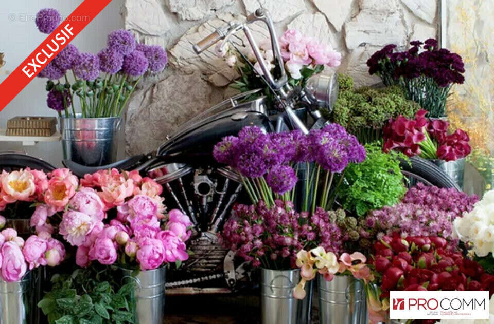 Commerce à SAINT-LEU