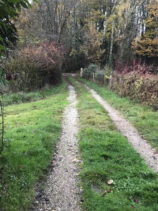 Maison à SAINT-SAUVEUR-DE-MEILHAN