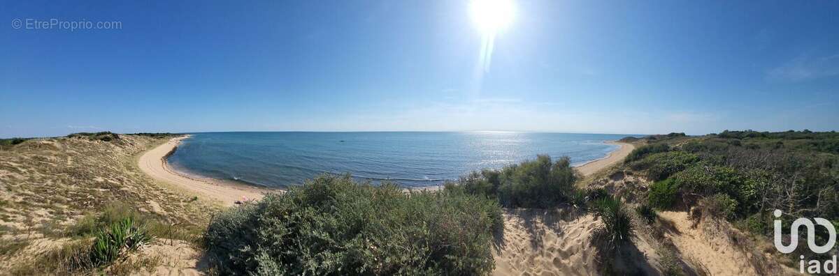 Photo 7 - Terrain à SAINT-GEORGES-D'OLERON